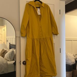 Zara dress